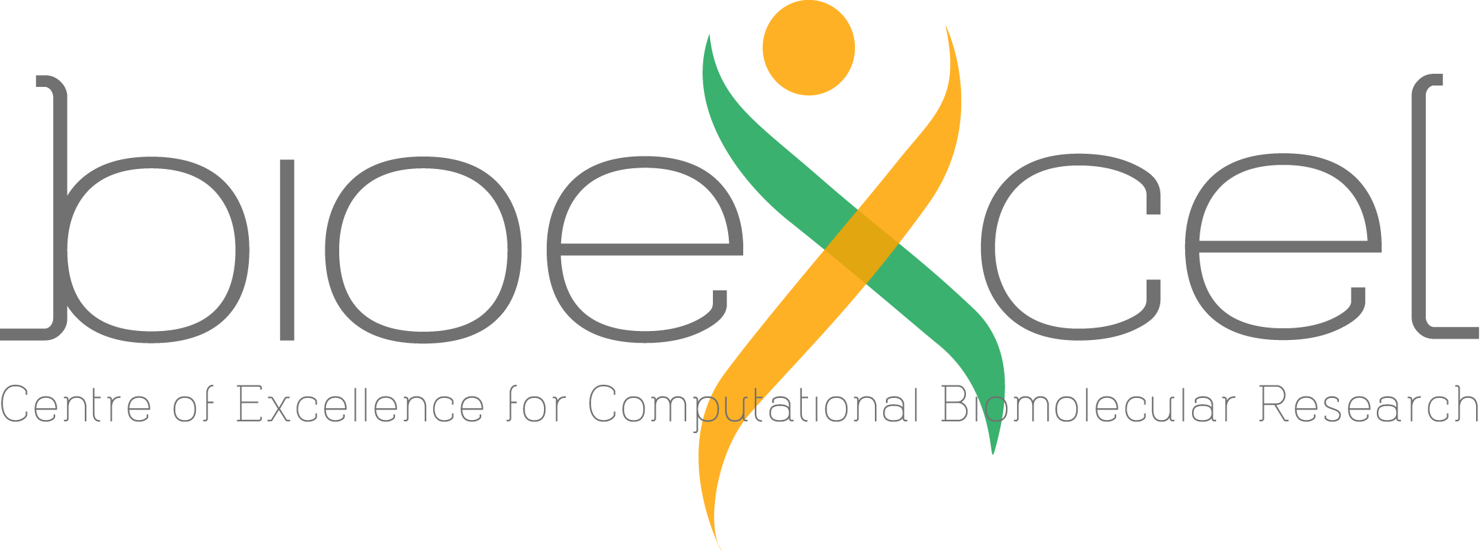 Bioexcel Logo